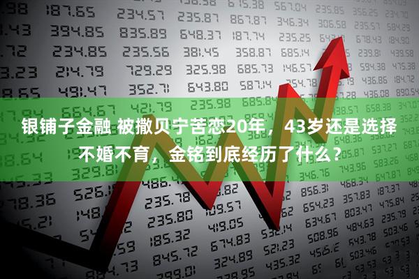 银铺子金融 被撒贝宁苦恋20年，43岁还是选择不婚不育，金铭到底经历了什么？