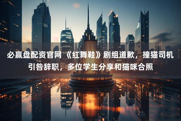 必赢盘配资官网 《红舞鞋》剧组道歉，撞猫司机引咎辞职，多位学生分享和猫咪合照
