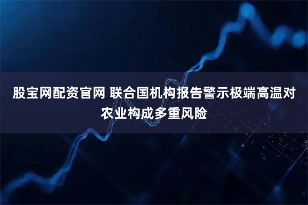 股宝网配资官网 联合国机构报告警示极端高温对农业构成多重风险