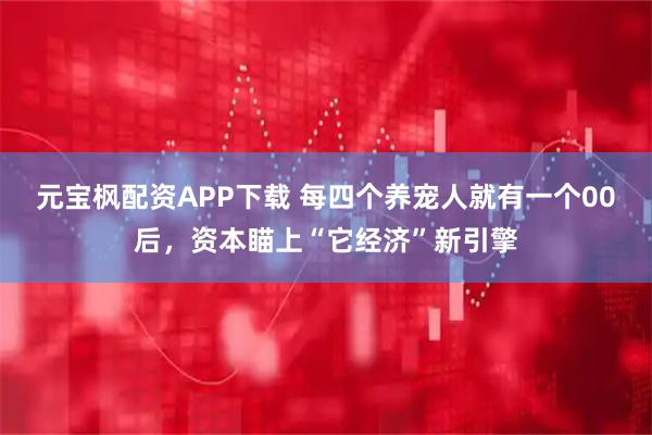元宝枫配资APP下载 每四个养宠人就有一个00后，资本瞄上“它经济”新引擎
