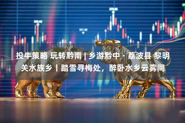 投牛策略 玩转黔南 | 乡游黔中 · 荔波县 黎明关水族乡丨踏雪寻梅处，醉卧水乡云雾间