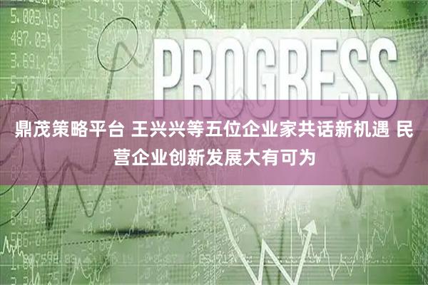 鼎茂策略平台 王兴兴等五位企业家共话新机遇 民营企业创新发展大有可为