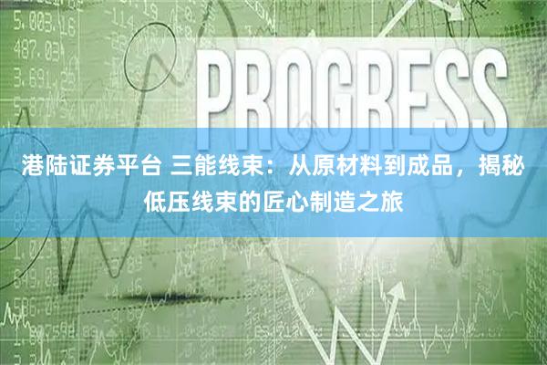 港陆证券平台 三能线束：从原材料到成品，揭秘低压线束的匠心制造之旅