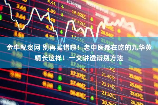 金牛配资网 别再买错啦！老中医都在吃的九华黄精长这样！一文讲透辨别方法